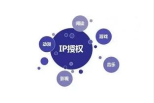 《新疆味道》 一部紀錄片的網絡文化創(chuàng)作與市場運營之道